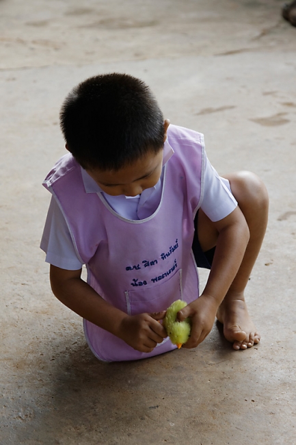 Famille et amis NOV12-022